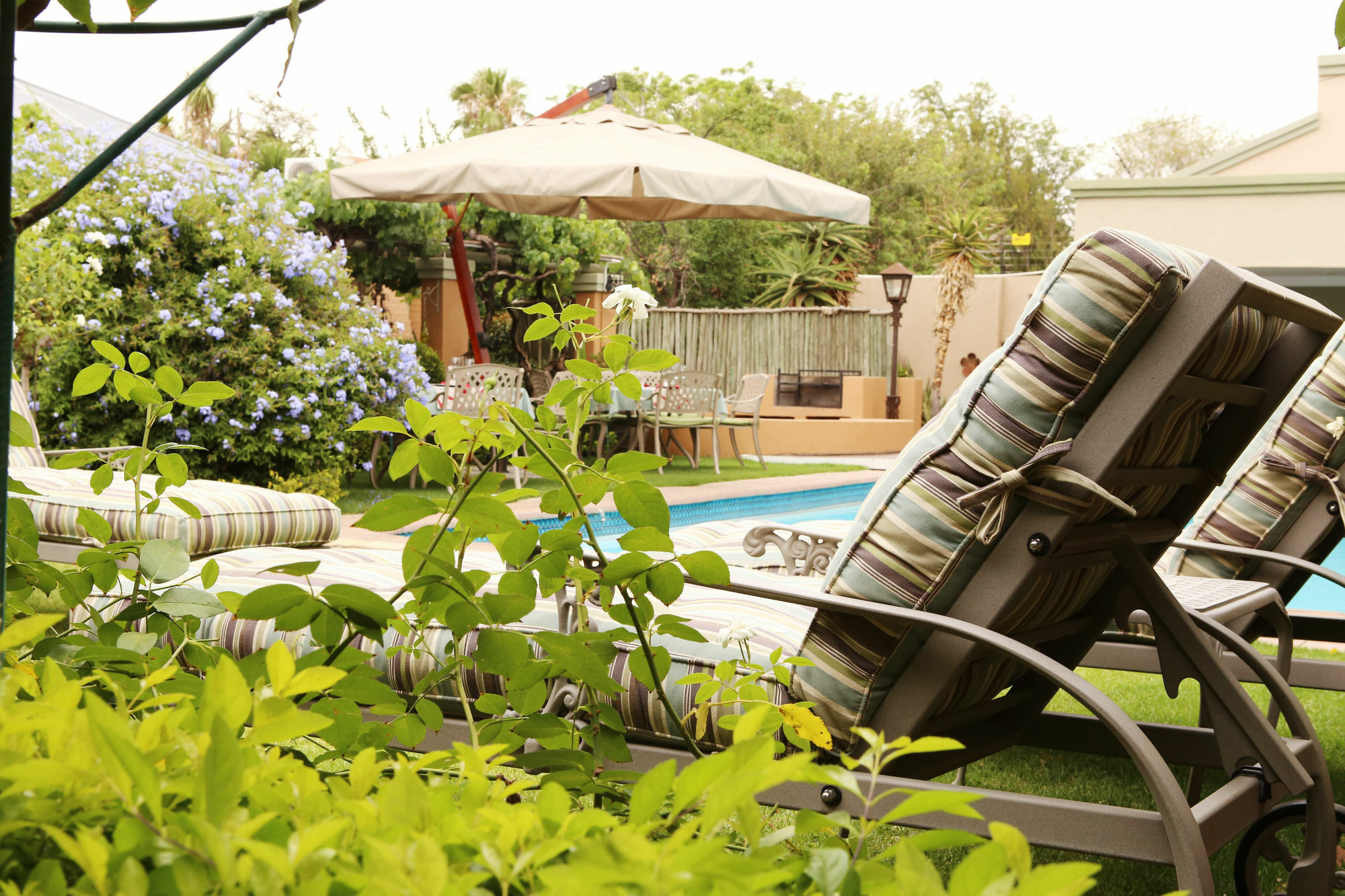 Oleander Guest House Кимберли Экстерьер фото